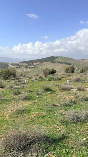 Mixed Use Land for Sale in Jerash Unaybah