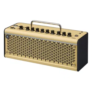 yamaha thr10ii كيتار املبيفاير guitar