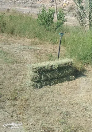 برايد للبيع كمية