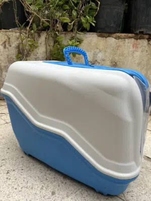 بيت رمل للقطط نضيف وعملي