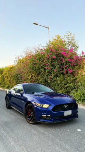 موستنج GT 5.0 V8 خليجي مديل 2015