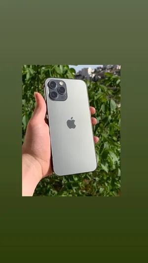 Apple . iPhone 12 Pro Max . 256 GB2
