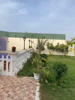 استراحة rest_house للايجار اليومي