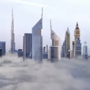 حسن القبيسي 