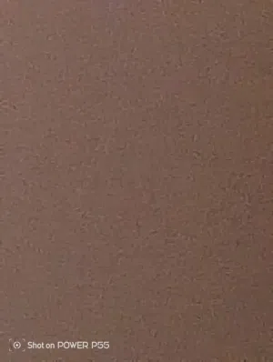 عامر محمود ابو الكرز 