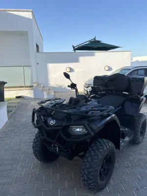 CFMOTO . CFORCE450L . 20240