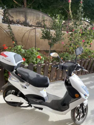 سكوتر tailg