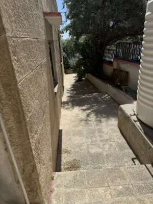 شقه مستقله للايجار
