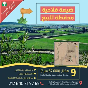 Farm Land for Sale in Larache Other