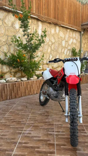crf 100f 2010 for sale