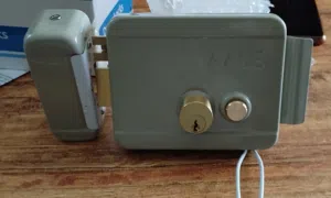Electric door lock