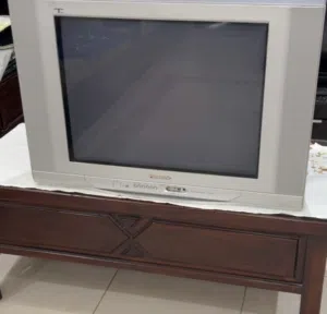 تلفزيون باناسونيك 29 بوصة