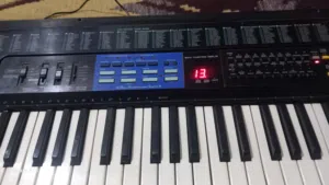 اورغات شرقية.وغربية
