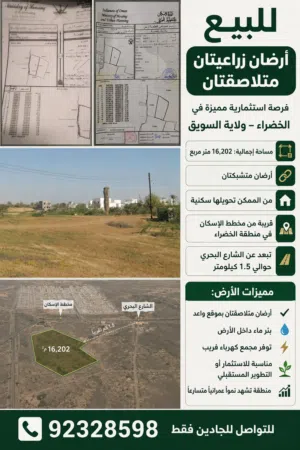 ارضين شبك زراعيه ومن الممكن تحويلها سكنيه في السويق الخضراء
