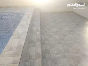 بلاط ابو ابراهيم