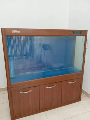 حوض سمك بيولوجي متر و نص مشاء الله تبارك الله