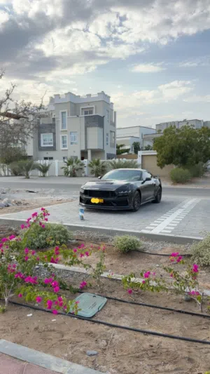 Mustang Performance Package