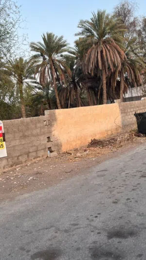 Farm Land for Sale in Muscat Quriyat