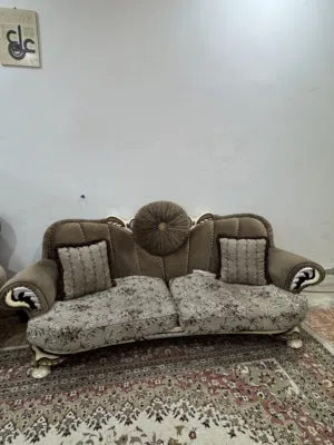 تخم قنفات رئاسي