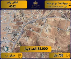 Residential Land for Sale in Amman Shafa Badran