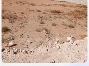 ارض بسعر لقطه للبيع
