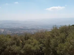 Farm Land for Sale in Jerash Soof