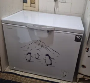 فريزر هانسيس