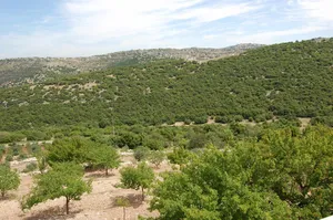 Mixed Use Land for Sale in Ajloun Barqash