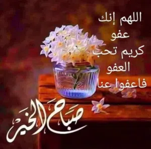 مطلوب شاب لمشاركة سكن