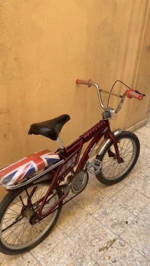 سيكل رامبو عنابي