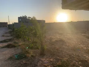 قطعة أرض ممتازه الجنين