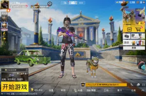 Pubg Accounts and Characters for Sale in Ibb