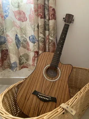 Acoustic guitar - affordable