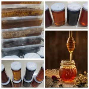 عسل اصلي 100%