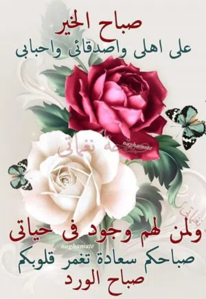 عدنان سلمان 