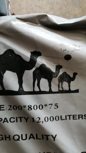 اشرعه وخيام شروق الجزيره