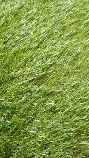 عشب اصطناعي في حالة ممتازه استعمال خفيف جدا