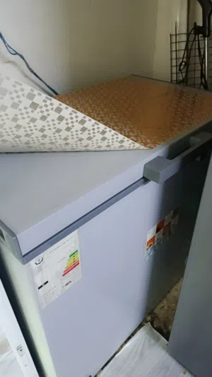 مجمده كلش نضيغه زلغ مابي