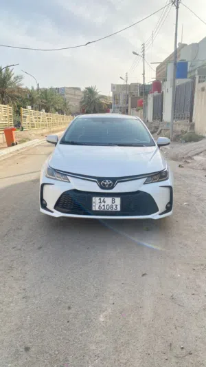 Used Toyota Corolla in Basra