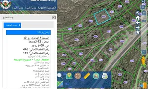 رام الله ارض للبيع 1835 في الكرينعه