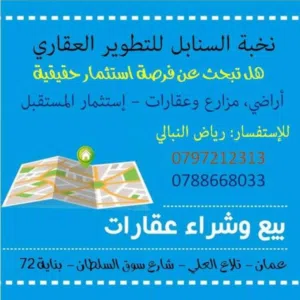 رياض النبالي 