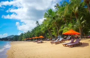 15 NIGHTS IN ASIA(Turkey,thailand  ,Sri lanka , kuala Lumpur) FOR 2 ADULTS – ONLY $2000