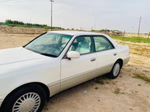 مطلوب راس الثور