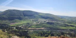 Mixed Use Land for Sale in Salt Al Balqa'