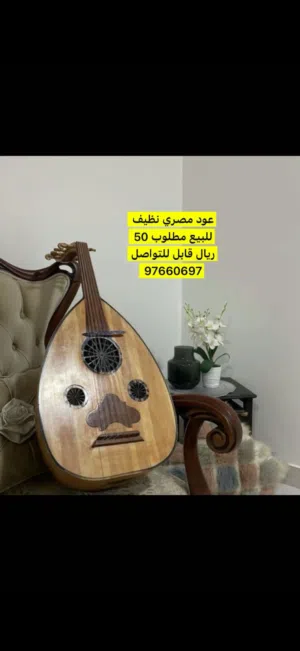 عود مصري نظيف