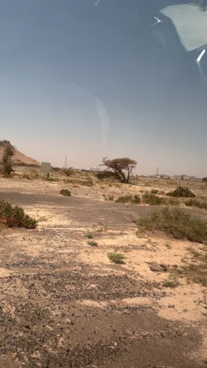 Residential Land for Sale in Al Dakhiliya Nizwa