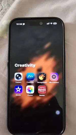 this is new . iphone 16 pro max 256gb . under warranty period . with box and charger cable.