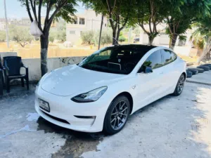 Tesla Model 3 doul motors long range 2019