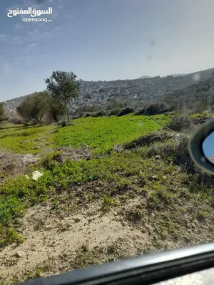 ‏الاستخدام المتعدد ‏.‏ 3600 م٢ ‏.‏ المالك‏1