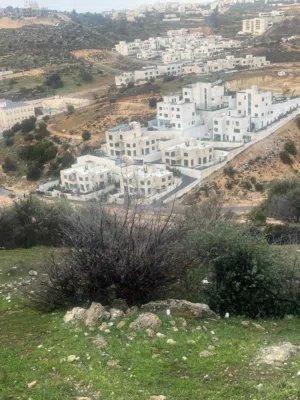 ارض مميزة جدا وبإطلالة رائعة في راس الجندي